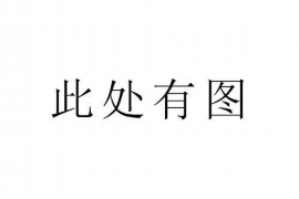 锡林郭勒专业讨债公司有哪些核心服务？